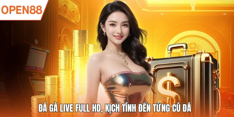 Đá gà live full HD, kịch tính đến từng cú đá
