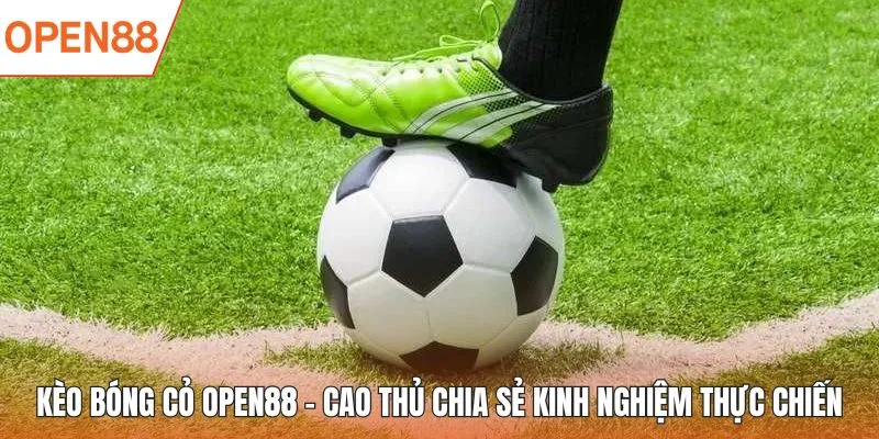 kèo bóng cỏ open88